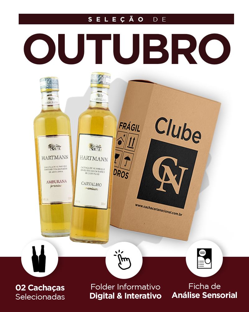 Kit detalhado - Mobile OUTUBRO